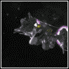 Gifs Animado de Macross