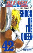 Tomo 42 de Bleach
