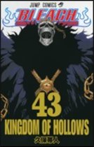 Tomo 43 de Bleach