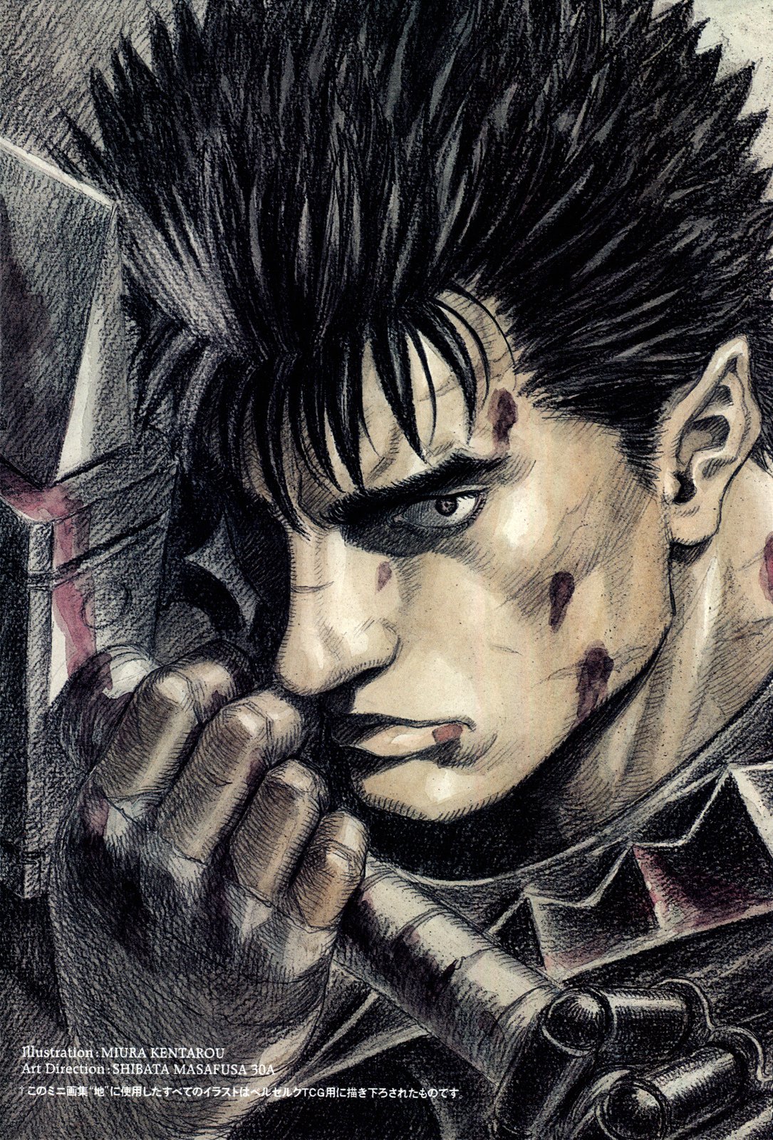 berserkcollected12.jpg