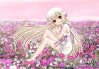 clampchobits50_small.jpg