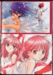 dnangelartbook49_small.jpg