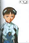 evangelionnewtype150_small.jpg