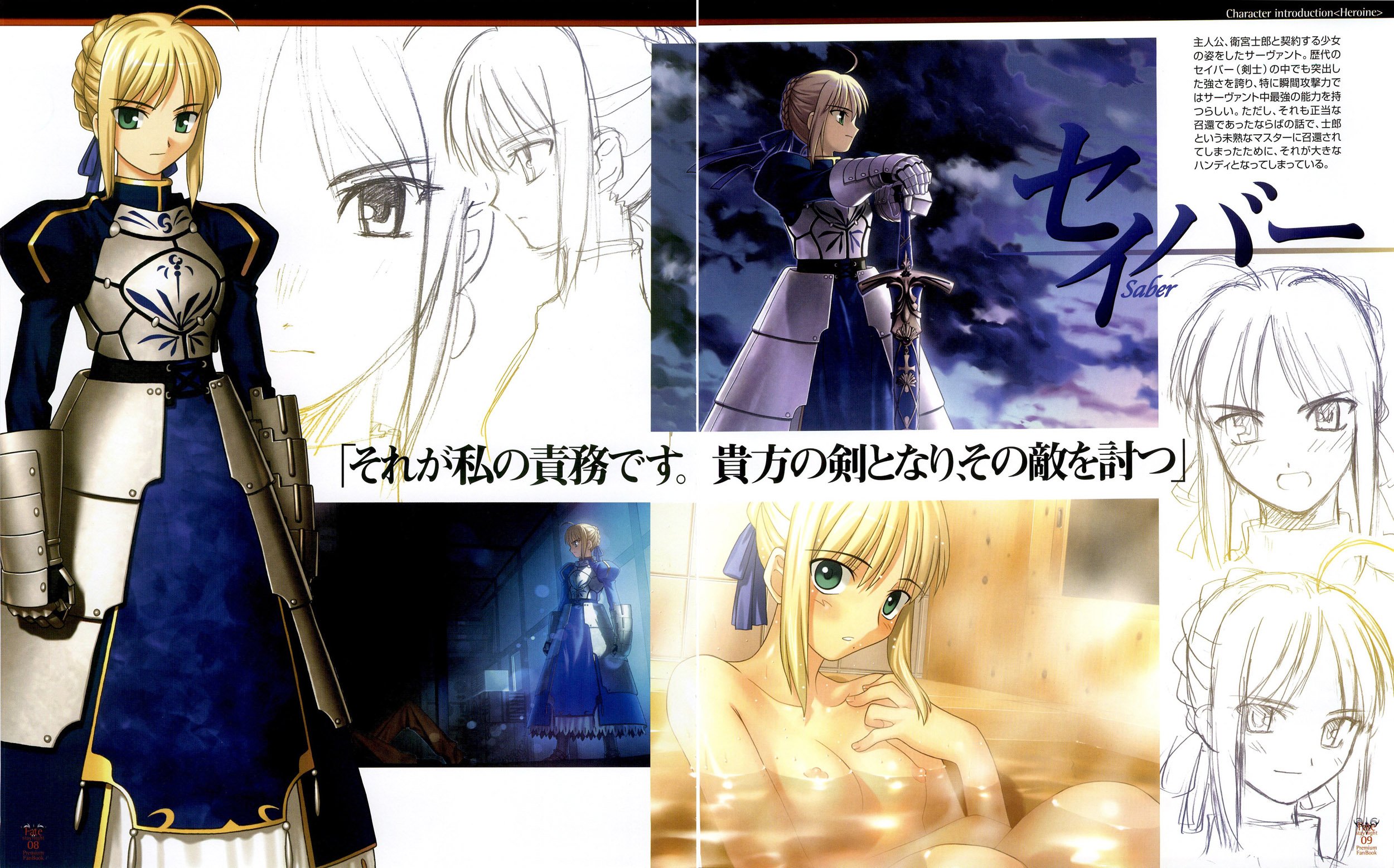 fatestaynightfanbook8.jpg