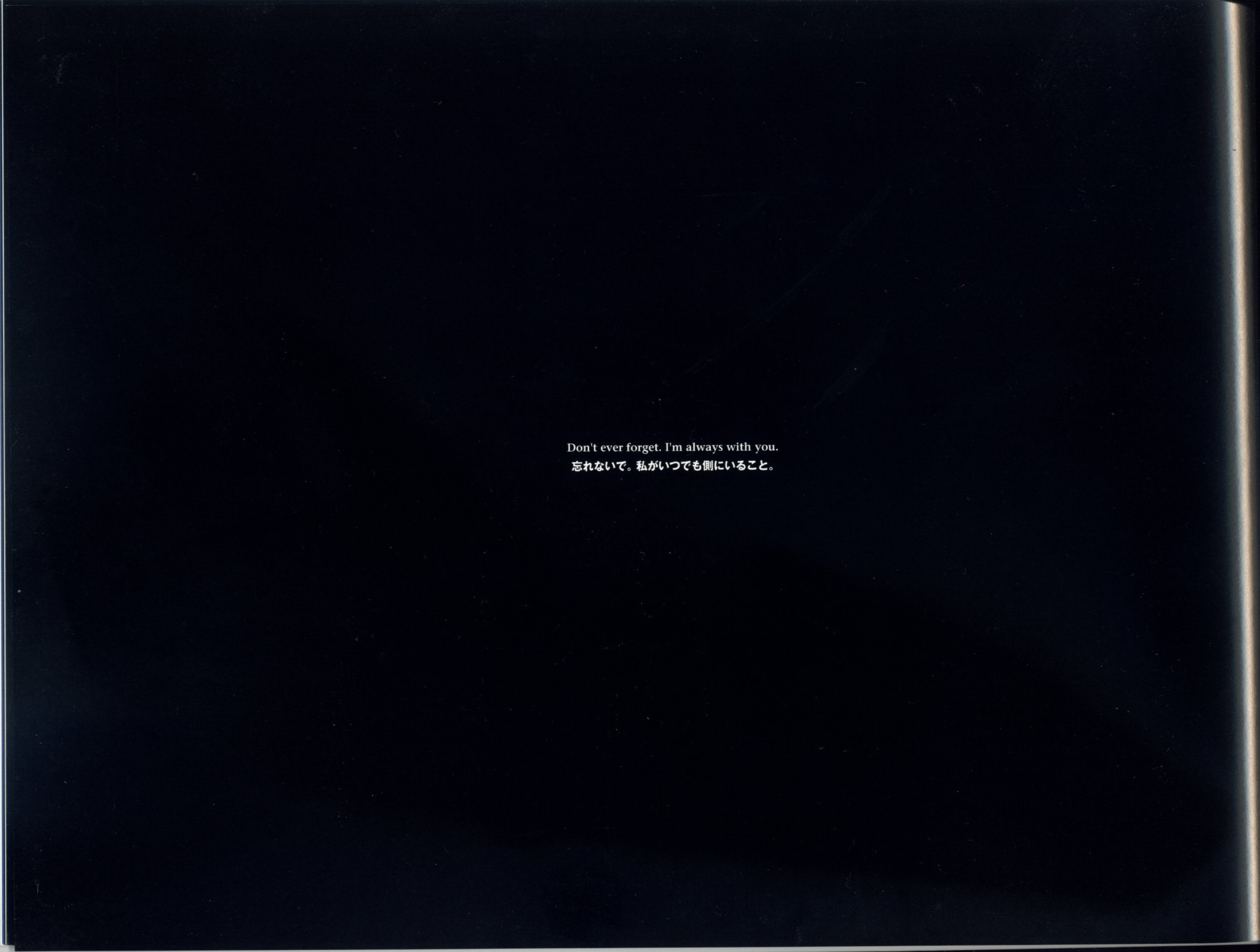 kindomheartsvisualartcollection17.jpg