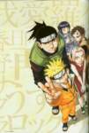 narutouzumakiartbook36_small.jpg