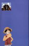 onepiececolorwalk139_small.jpg