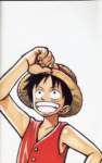 onepiececolorwalk152_small.jpg