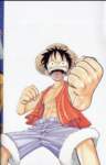 onepiececolorwalk188_small.jpg