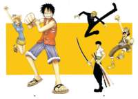 onepiececolorwalk233_small.jpg