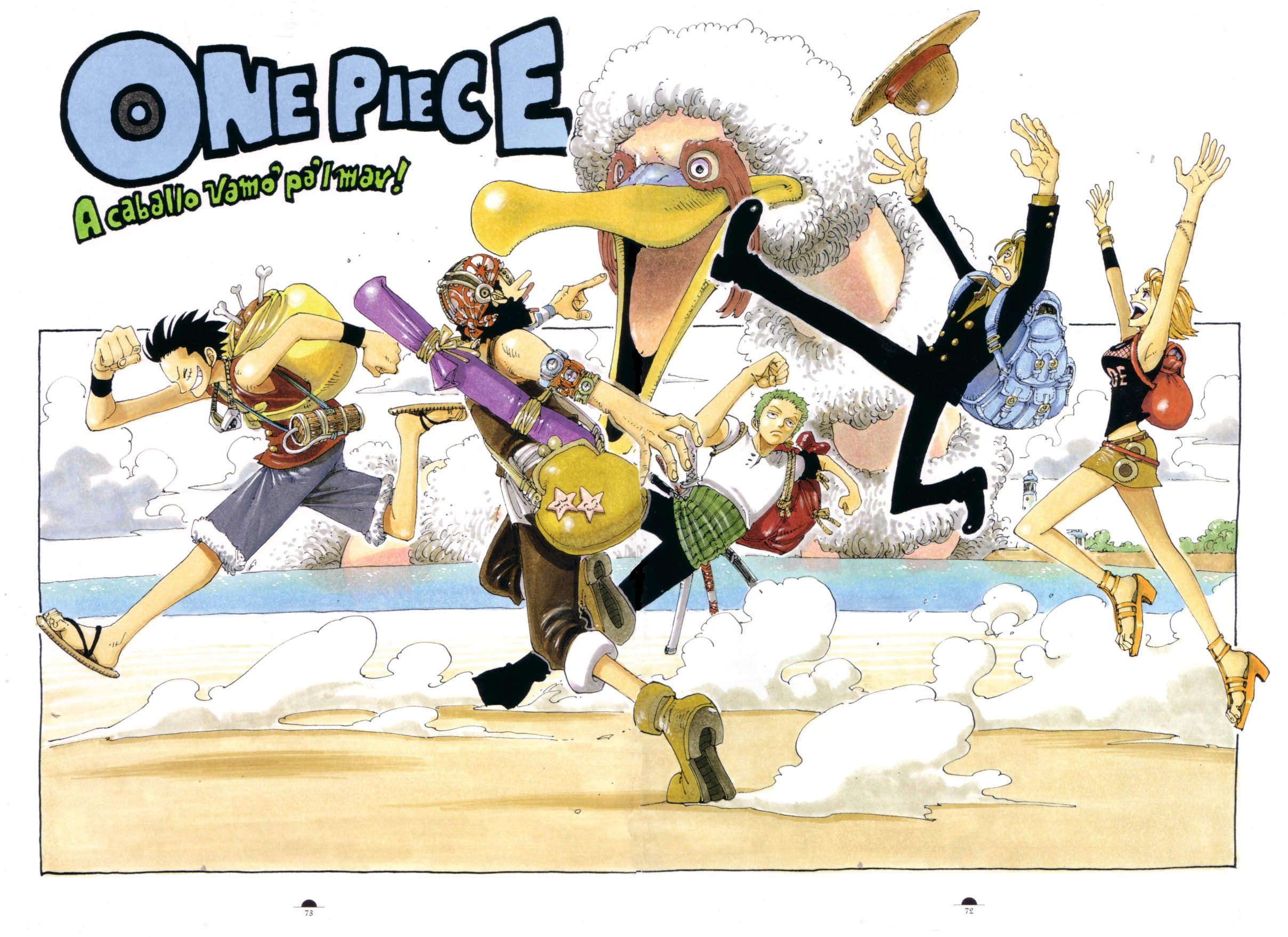 onepiececolorwalk255.jpg