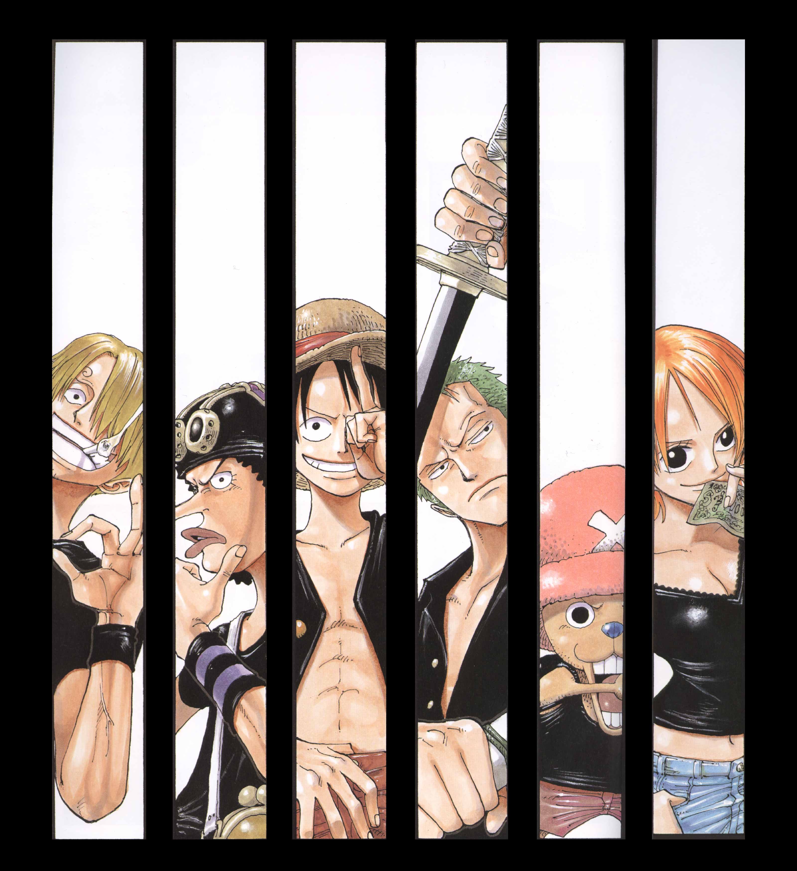 onepiececolorwalk311.jpg