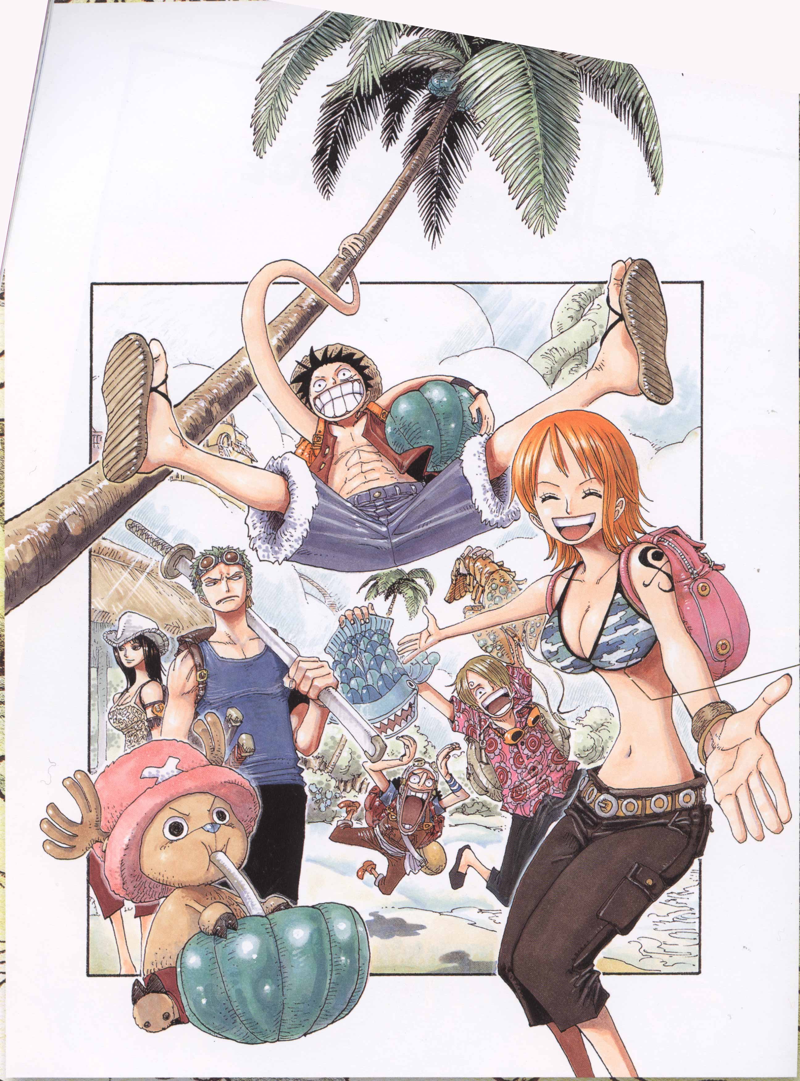 onepiececolorwalk325.jpg