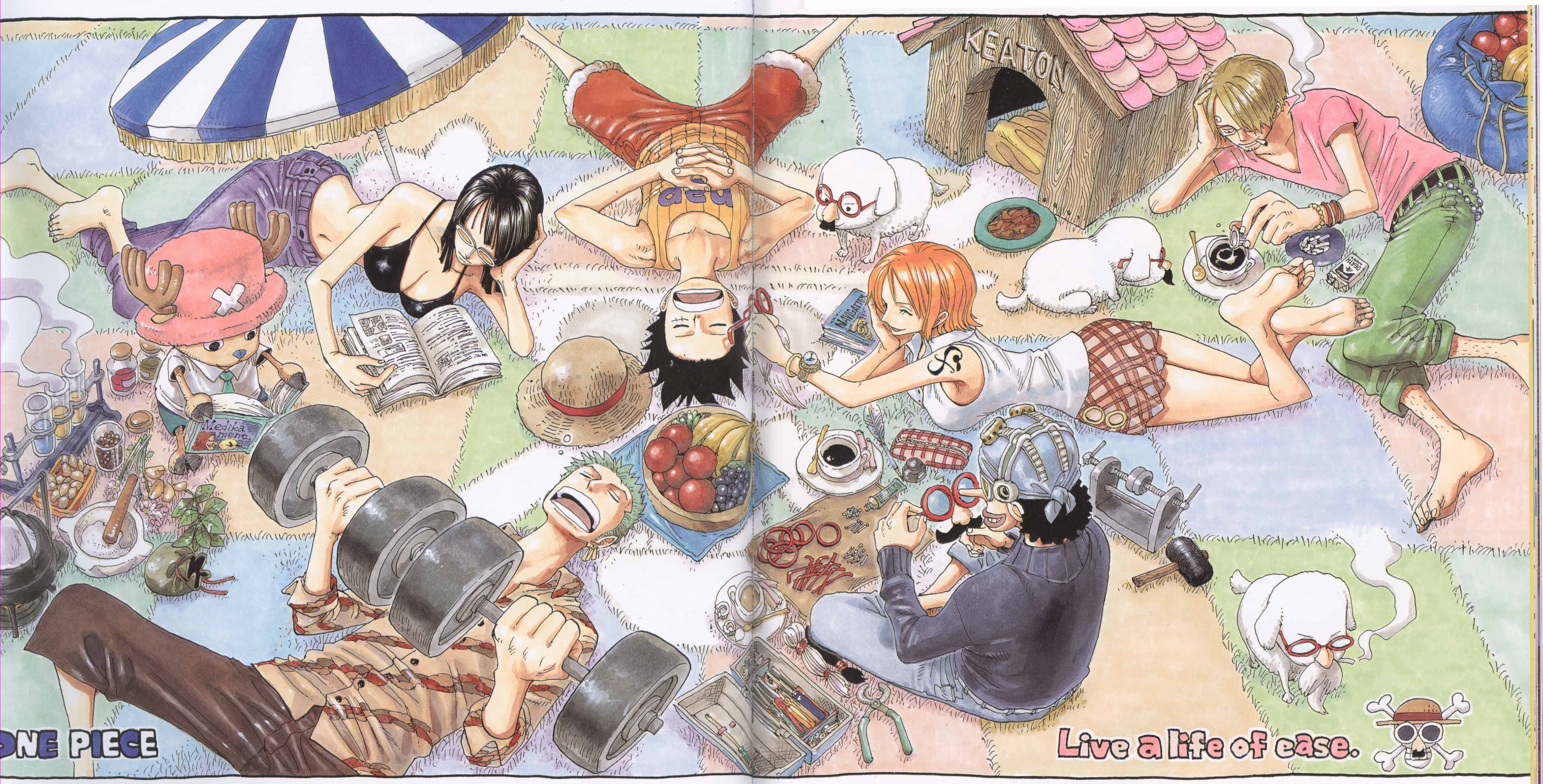 onepiececolorwalk335.jpg