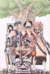 onepiececolorwalk344_small.jpg