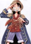 onepiececolorwalk346_small.jpg