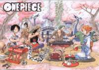 onepiececolorwalk351_small.jpg