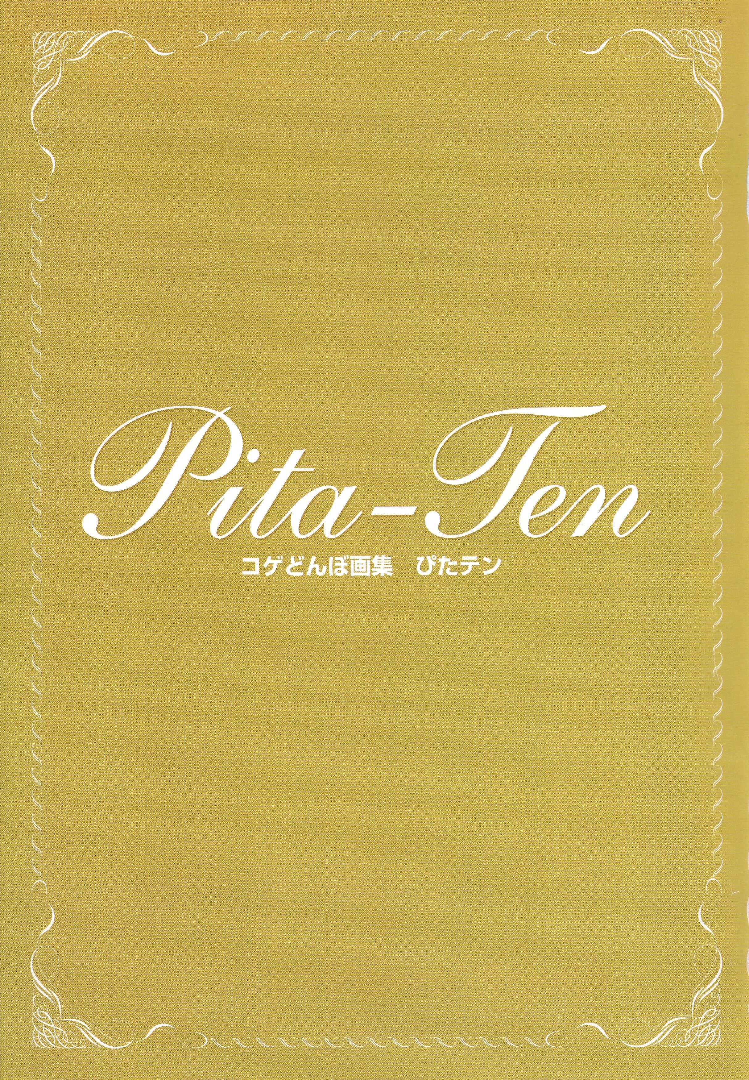 pitatenartbook21.jpg