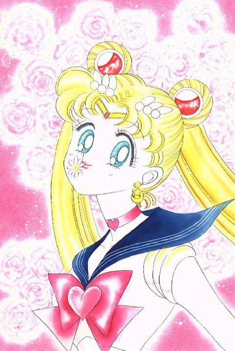 sailormoonartbook320.jpg