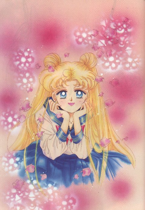 sailormoonartbook327.jpg