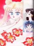 sailormoonartbook331_small.jpg