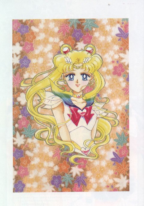 sailormoonartbook457.jpg