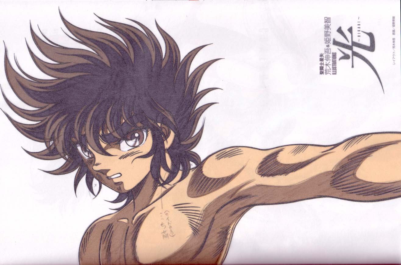 saintseiyahikari7.jpg