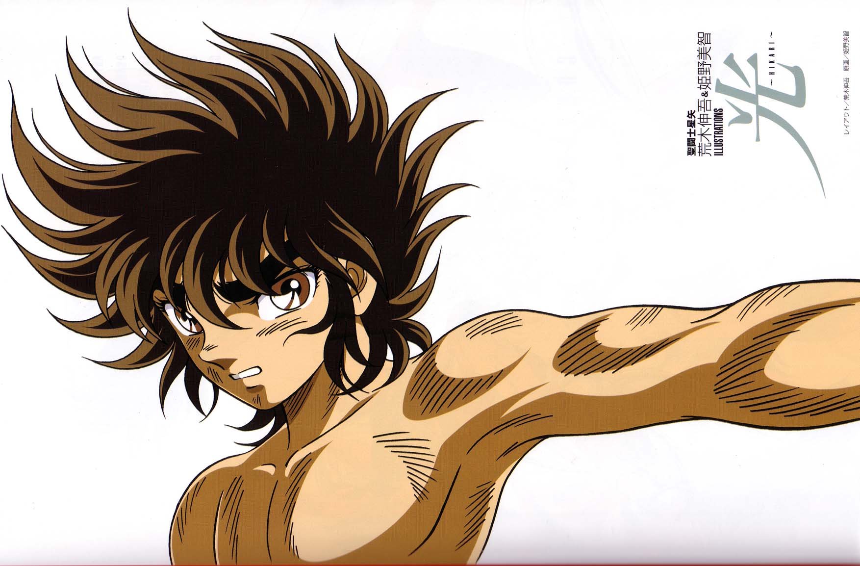 saintseiyahikari8.jpg