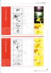shiningtearsvisualcollection106_small.jpg
