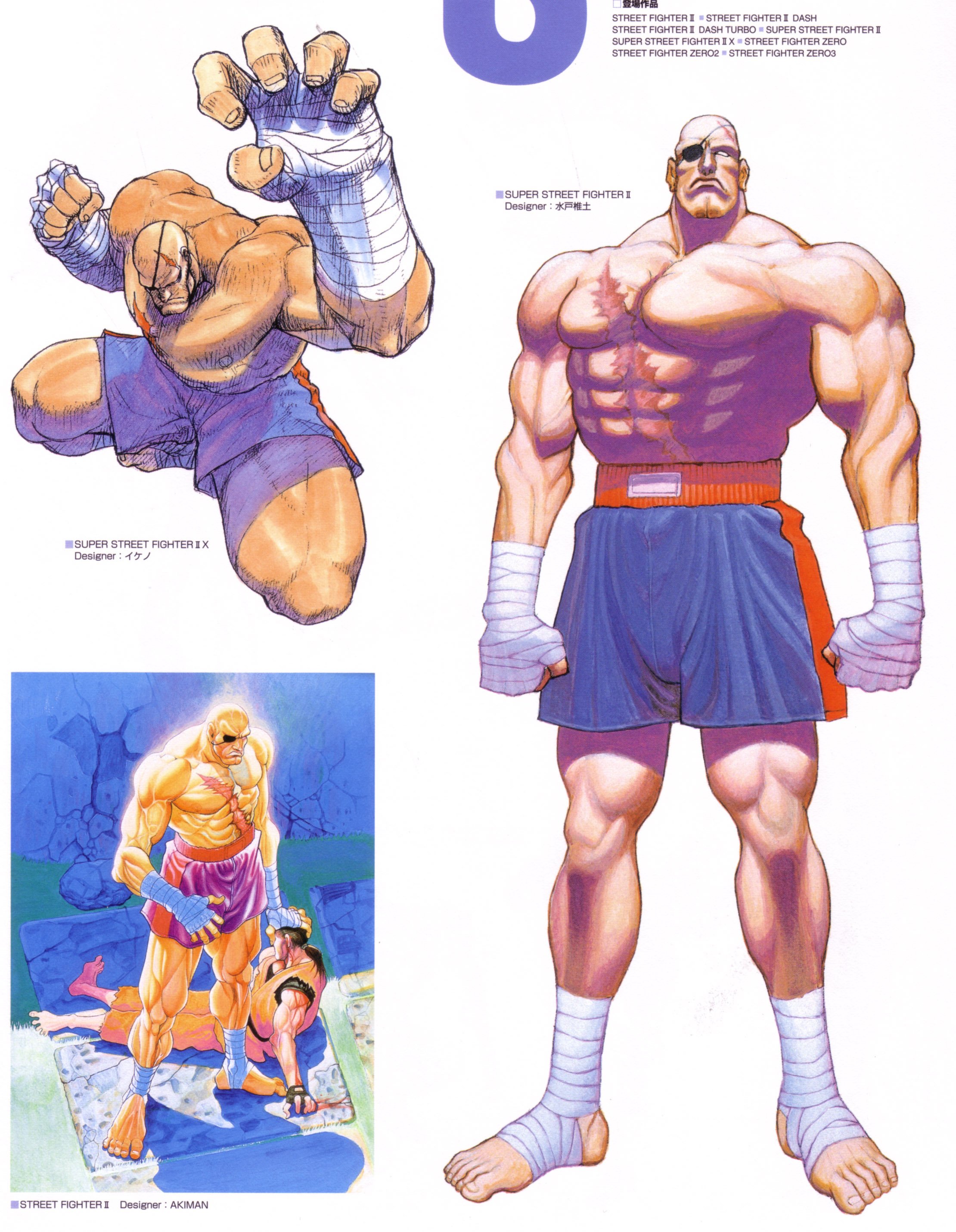 streetfighter262.jpg