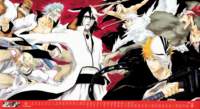 bleach20093_small.jpg