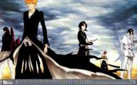 bleach20095_small.jpg