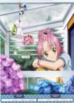 shugochara20094_small.jpg