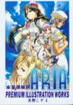 aria144_small.jpg