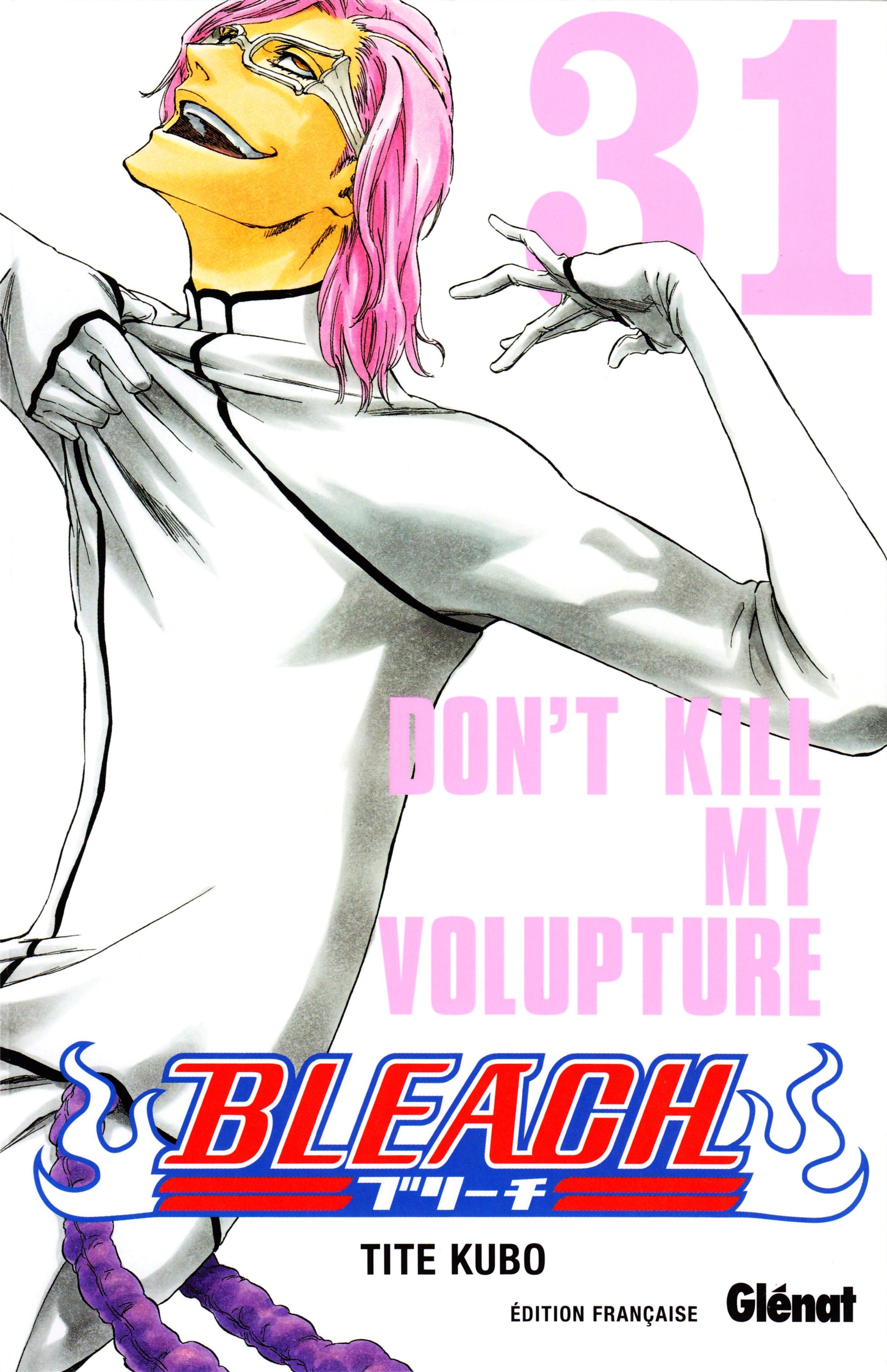 bleachcovermanga3.jpg