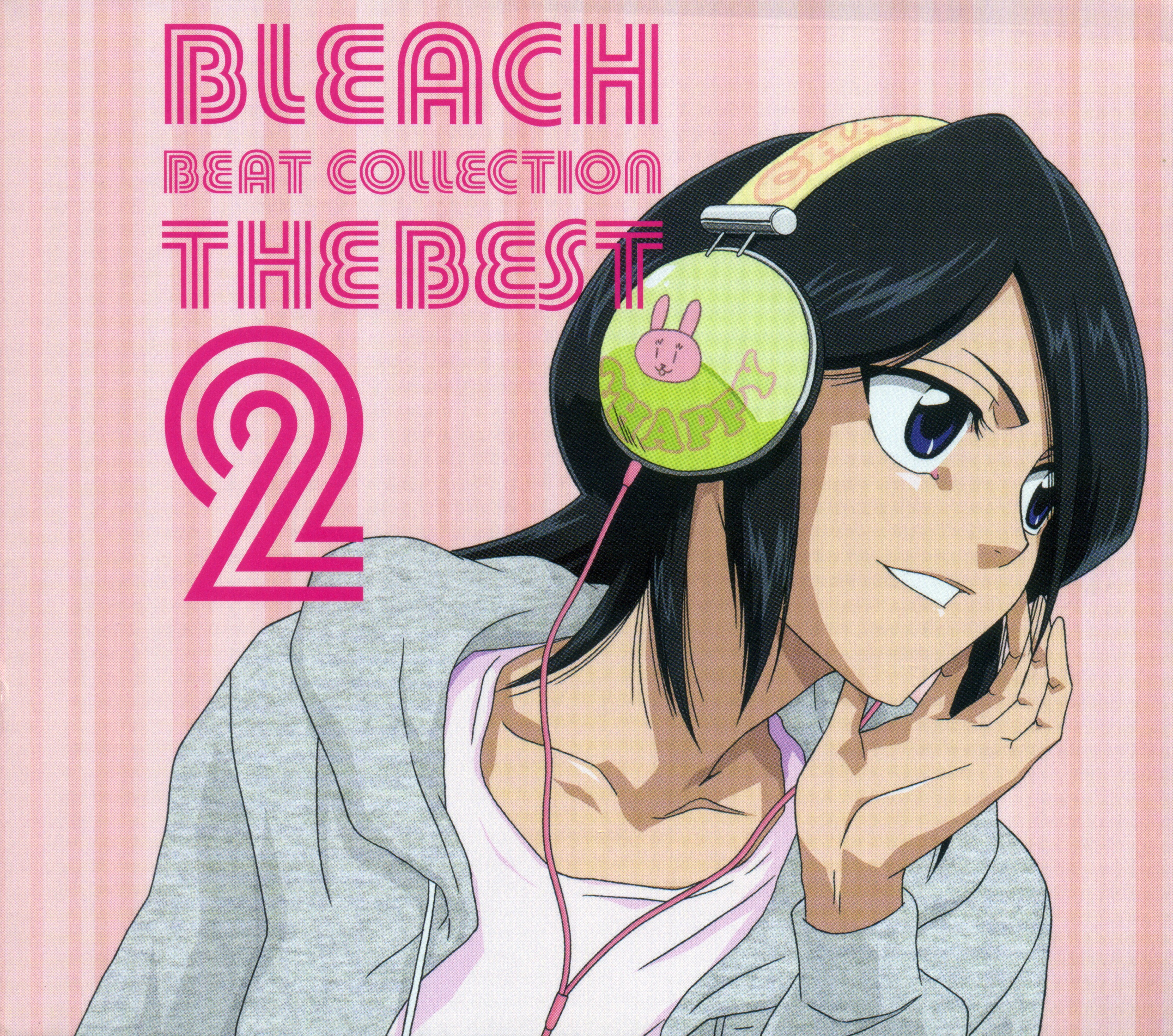 bleachcoversdvd3.jpg