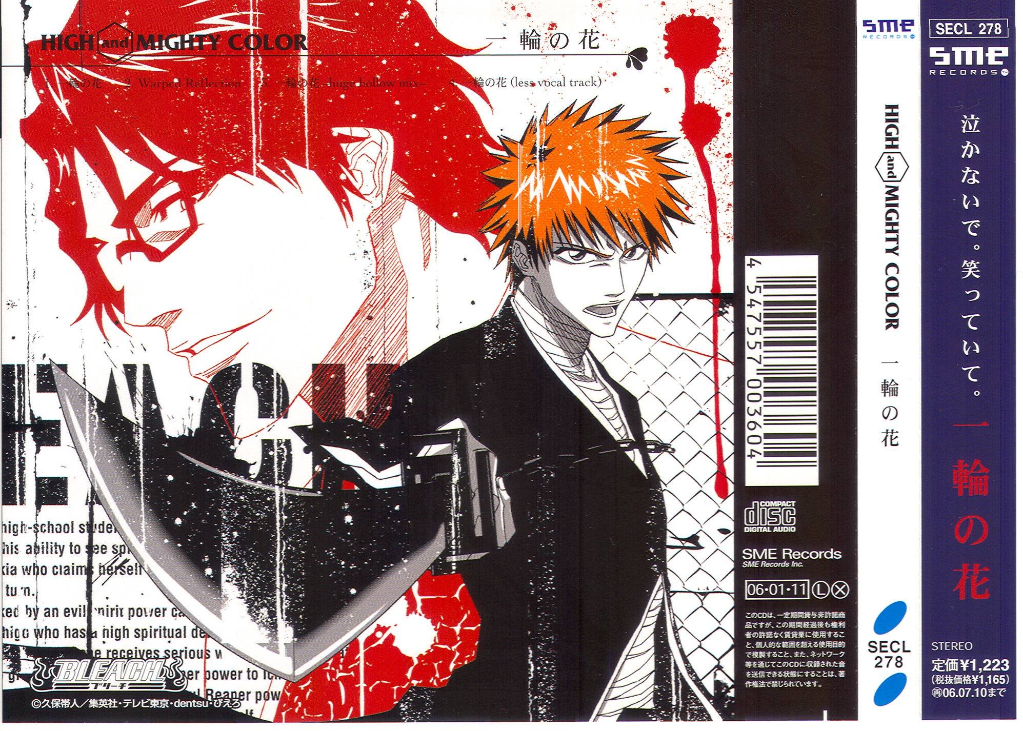 bleach108.jpg