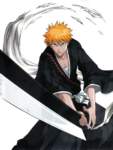 bleach109_small.jpg