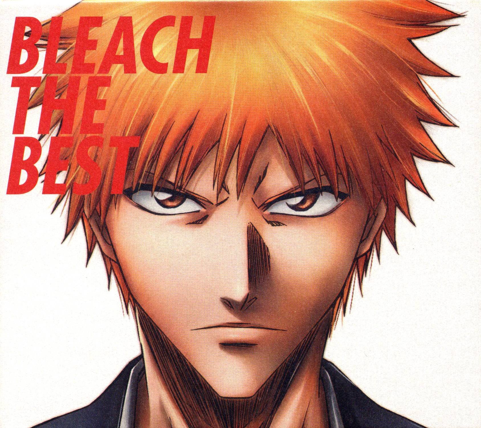 bleach119.jpg
