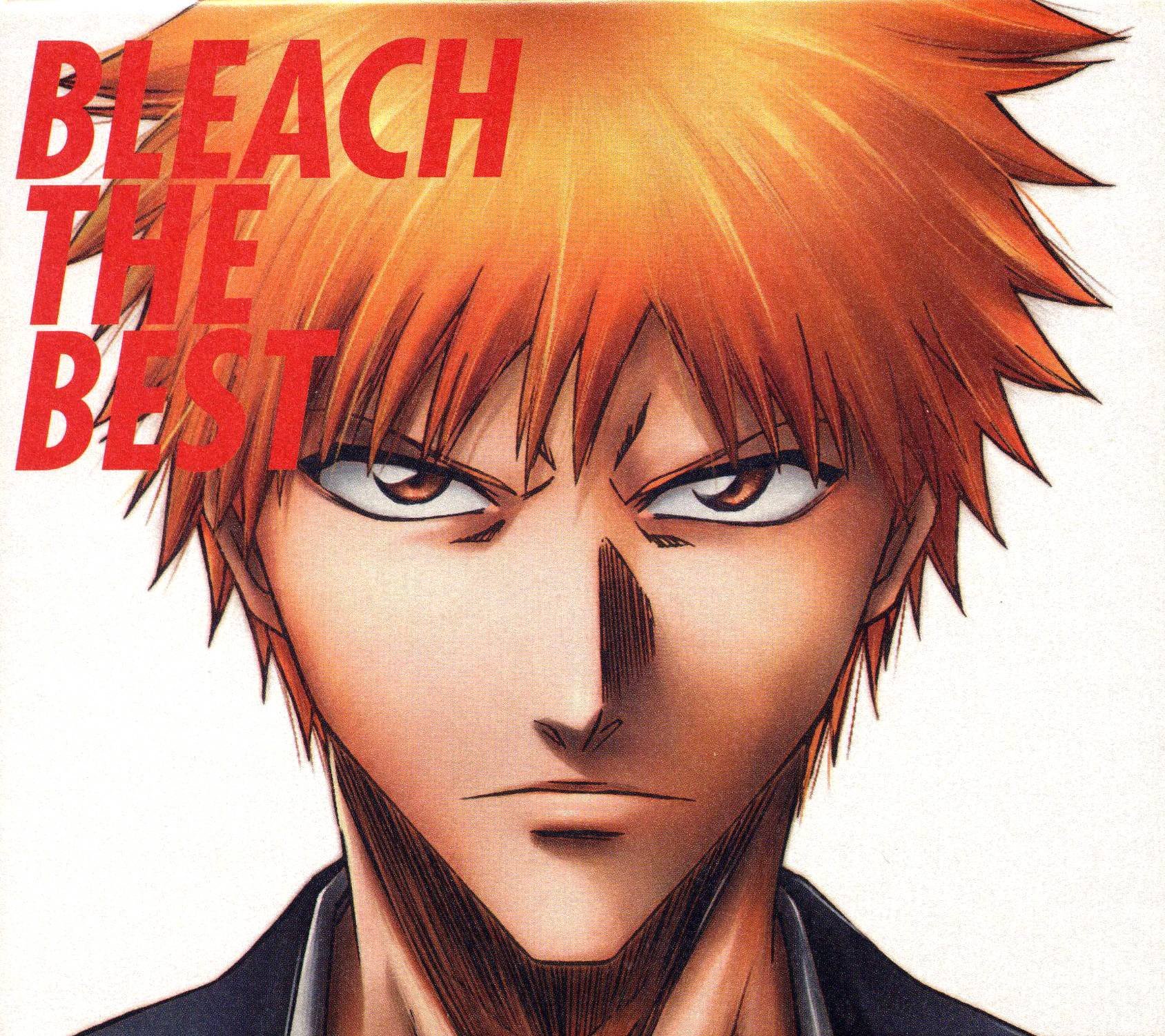 bleach119.jpg