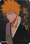 bleach130_small.jpg