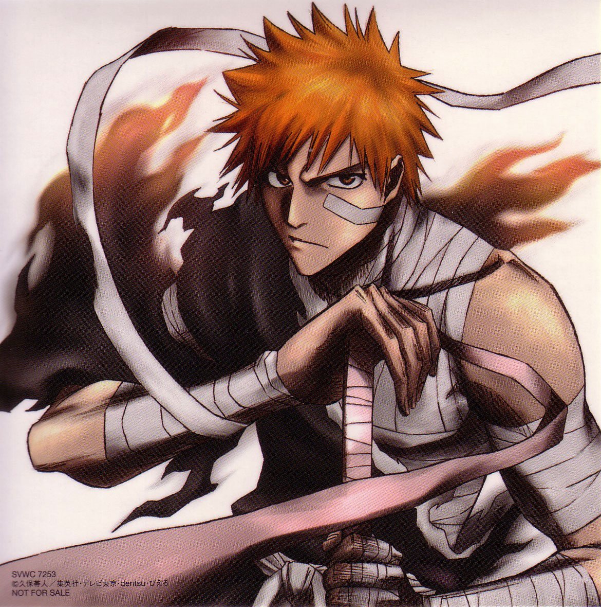 bleach132.jpg