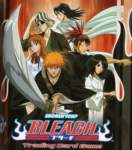 bleach135_small.jpg