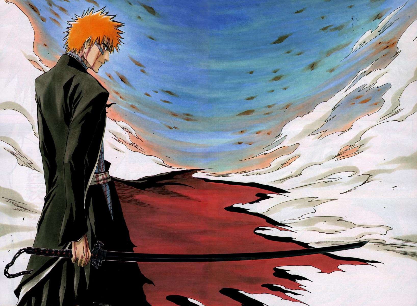 bleach14.jpg