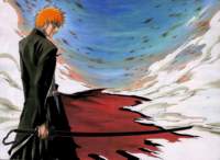 bleach14_small.jpg