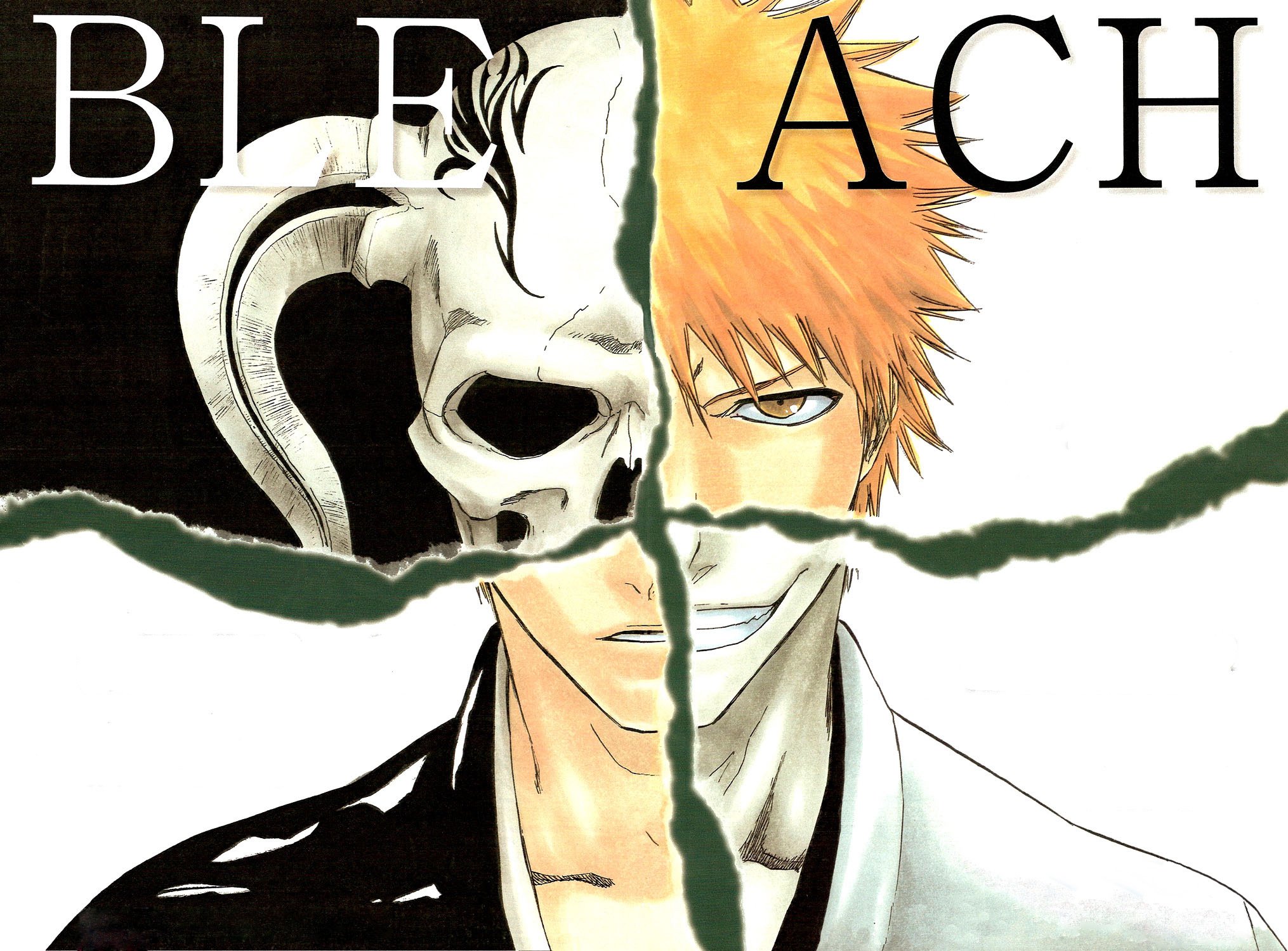 bleach162.jpg