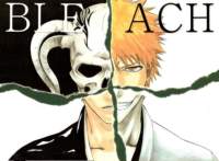 bleach162_small.jpg