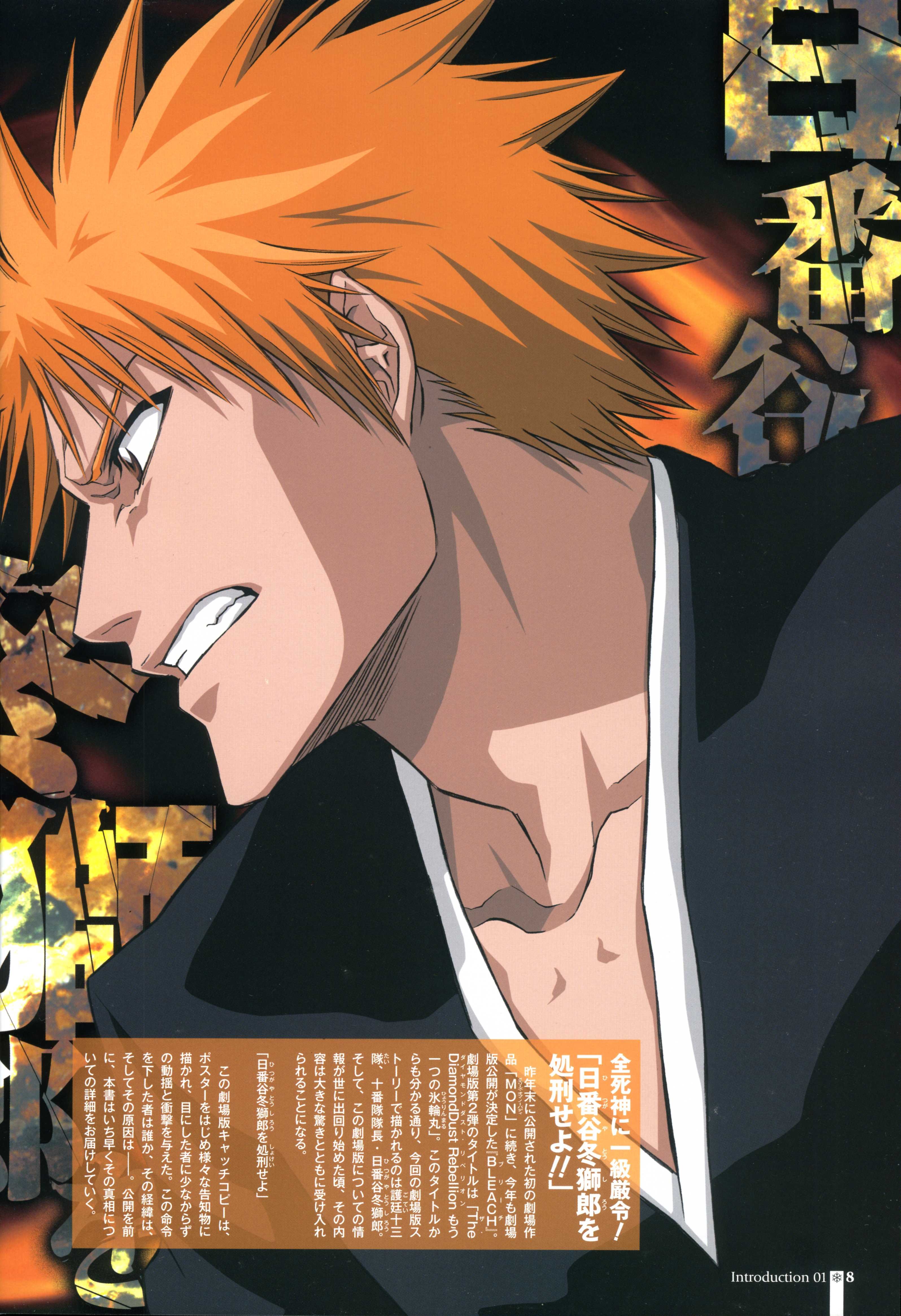 bleach181.jpg