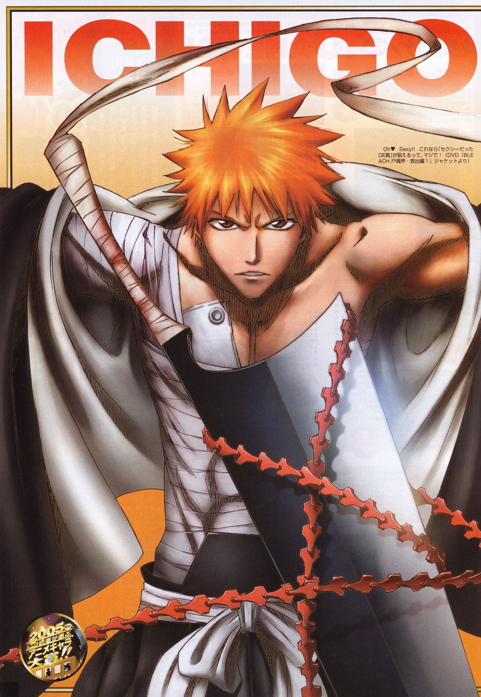 bleach190.jpg