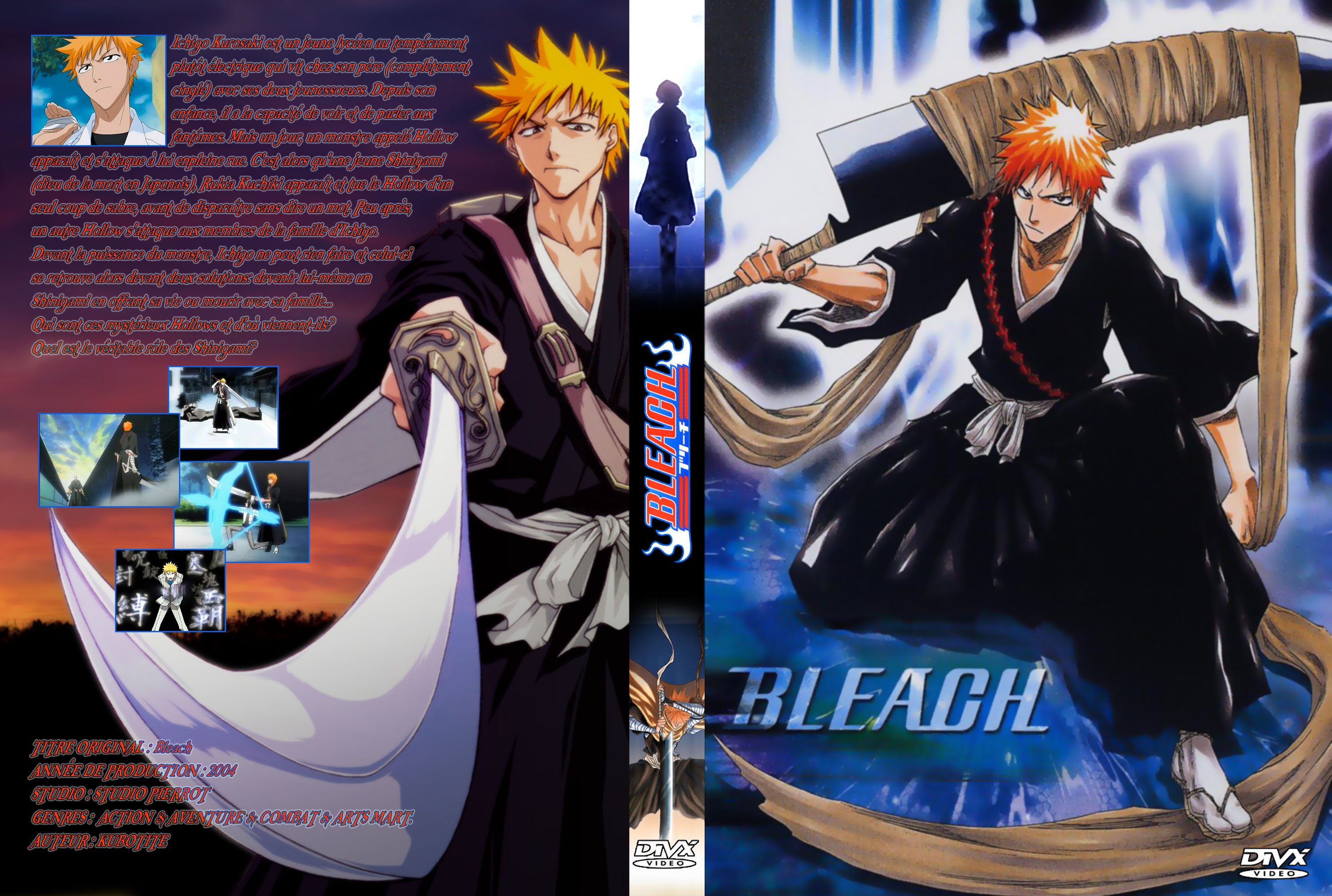 bleach193.jpg